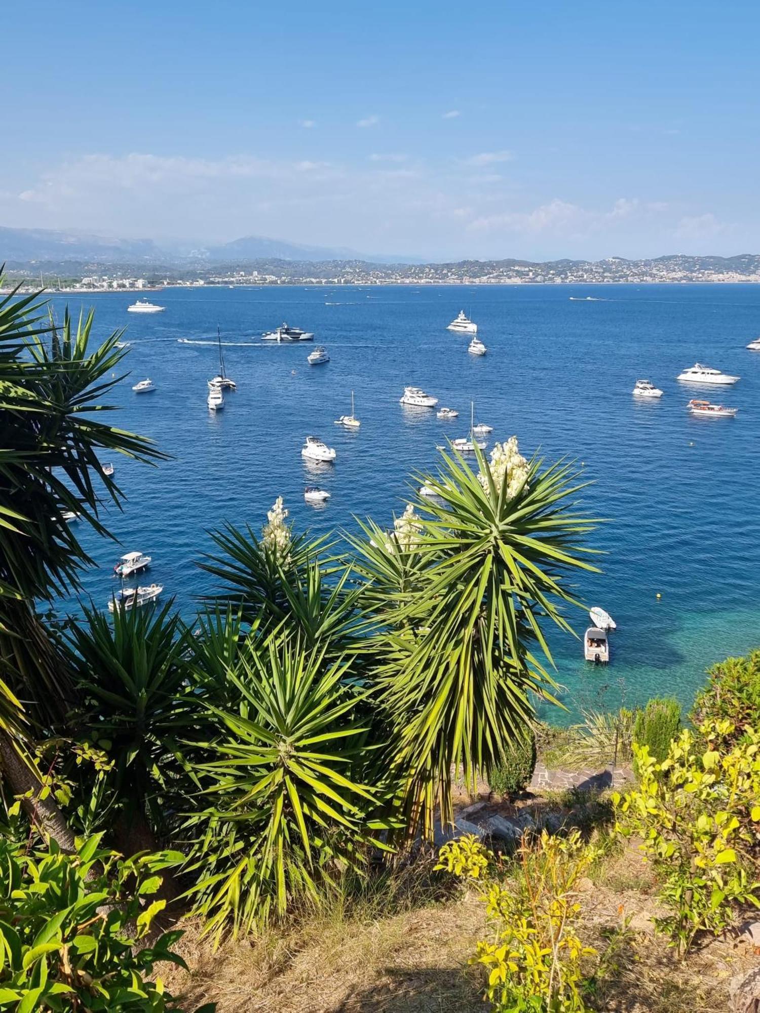 Villas And Suites La Coraillere Resort Théoule-sur-Mer Екстериор снимка